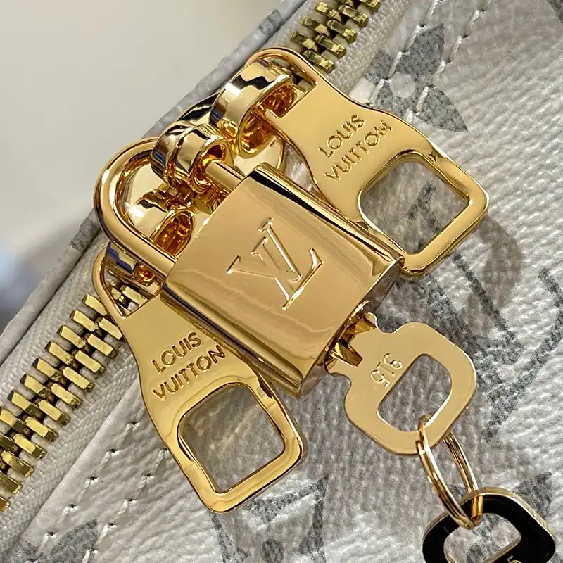 Cheap Louis Vuitton Bags 2405YA0030 0201