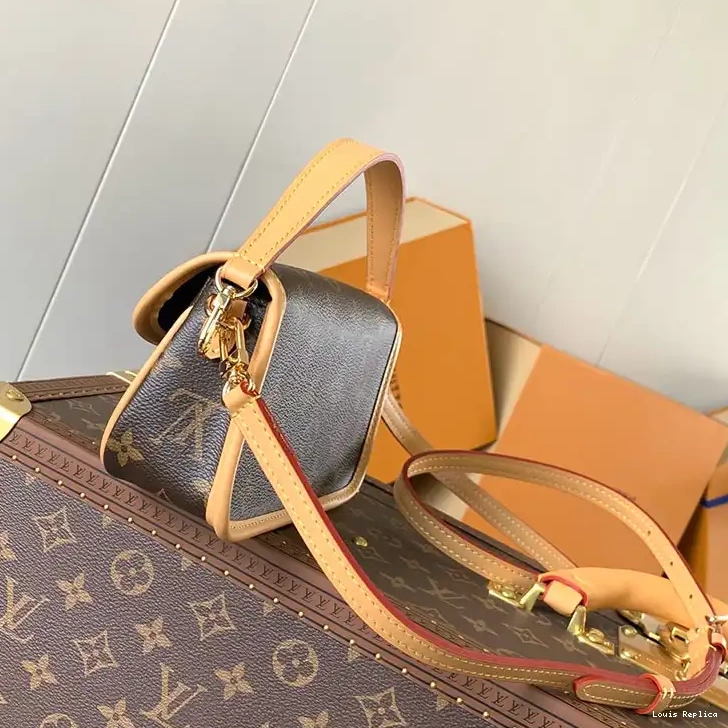 Cheap Louis Vuitton Bags 2409YA0076 0219