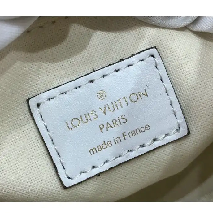 Cheap 205FY0123 Louis Vuitton Bags 0211