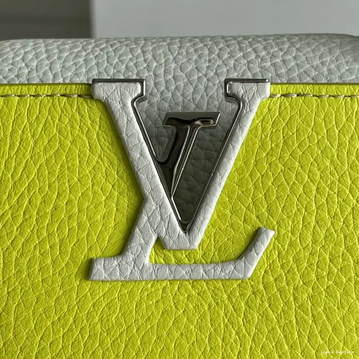 Cheap 2110YA0102 Louis Vuitton Bags 0213