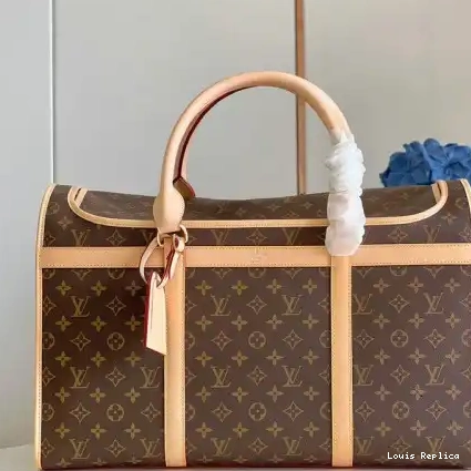 2112FY0049 Louis Vuitton Bag 0221