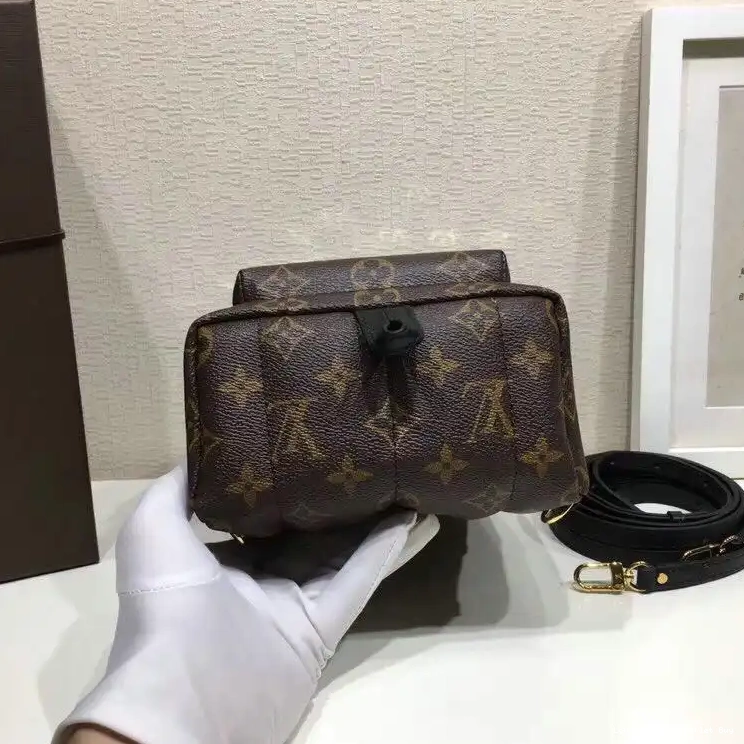 Cheap Louis Vuitton 19T1L0085 Bags 0225