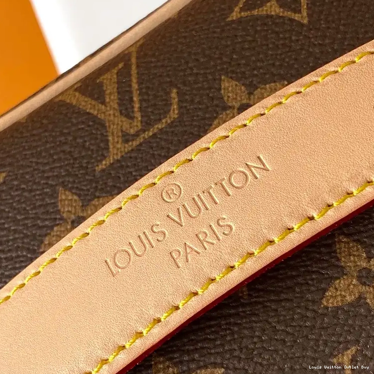 Cheap Louis Vuitton Bags 2408YA0202 0220